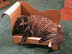 самодельный диванчик для кота