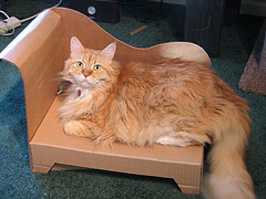 самодельный диванчик для кошки