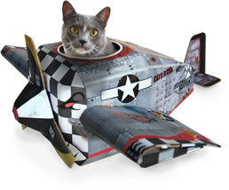 Домик кота-лётчика